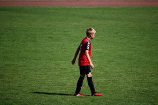 九游官网入口地址-NBA球员训练负荷监测与科学调整,nba负荷管理